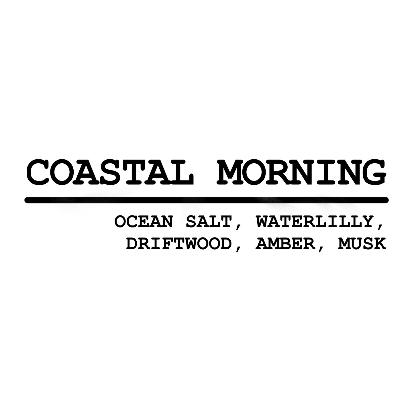 COASTAL MORNING